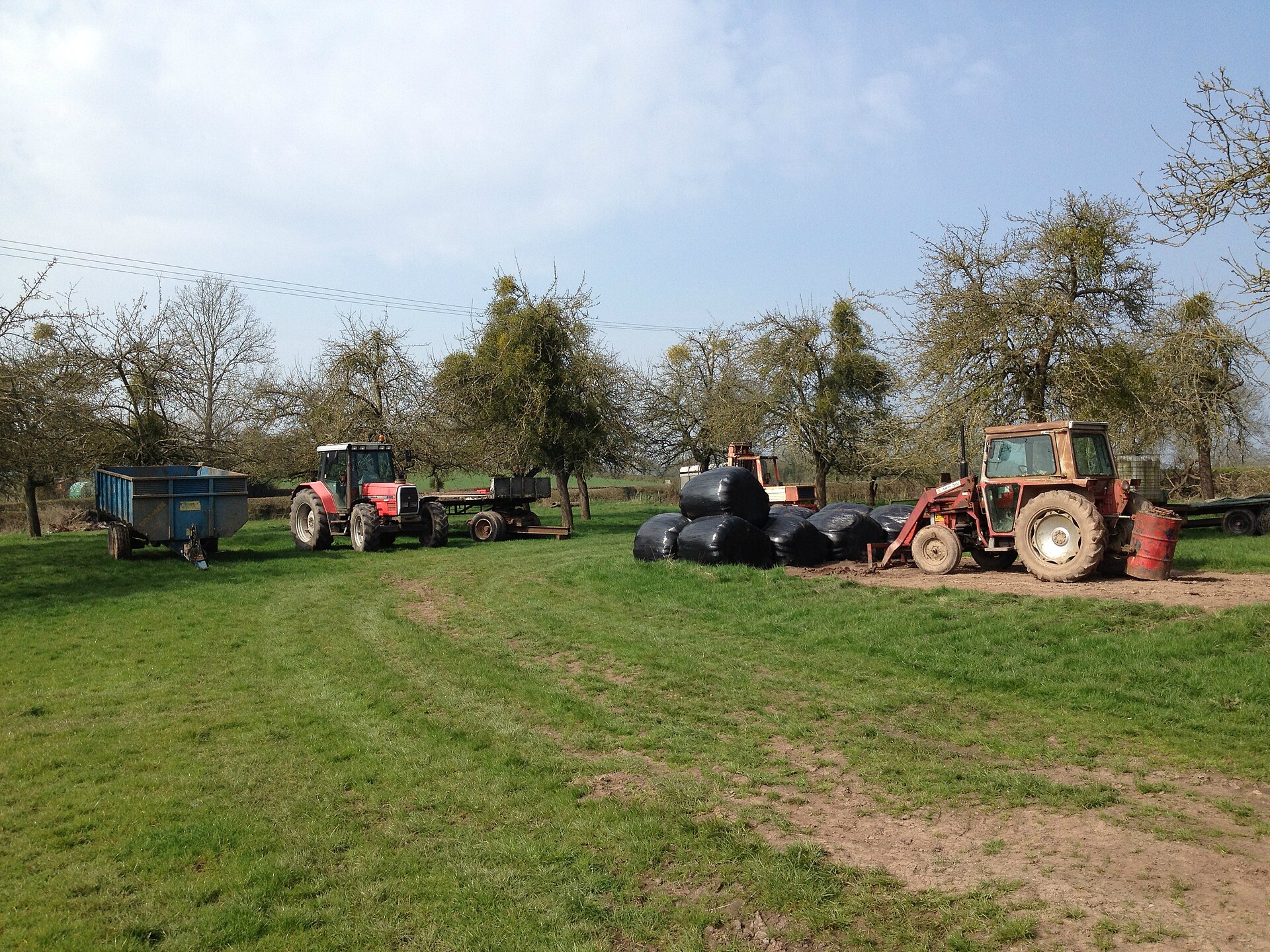 Farms and orchards 4