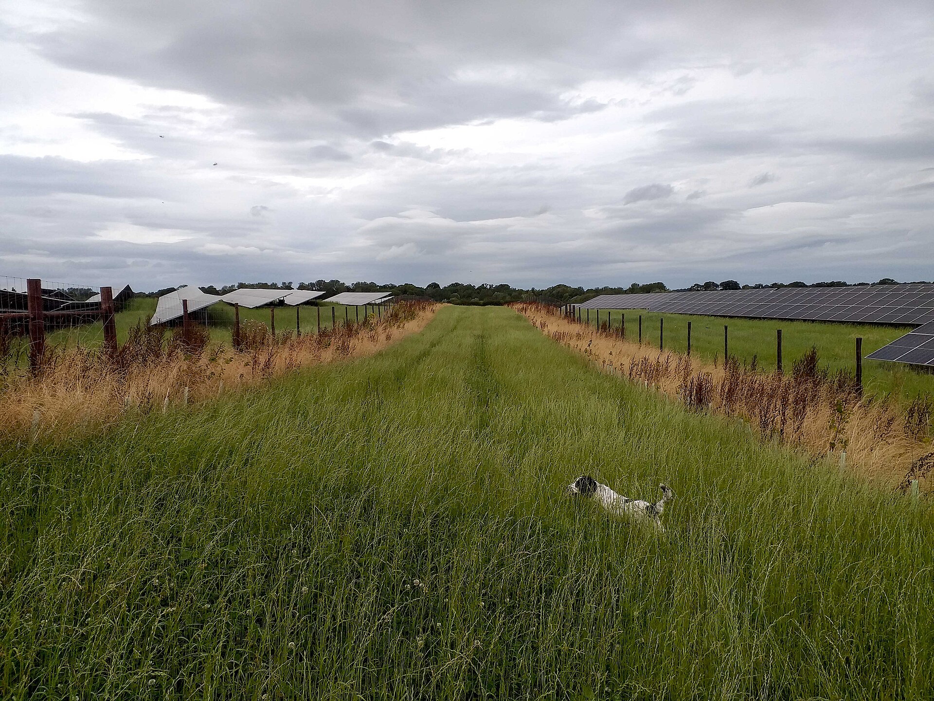 Solar farms 4