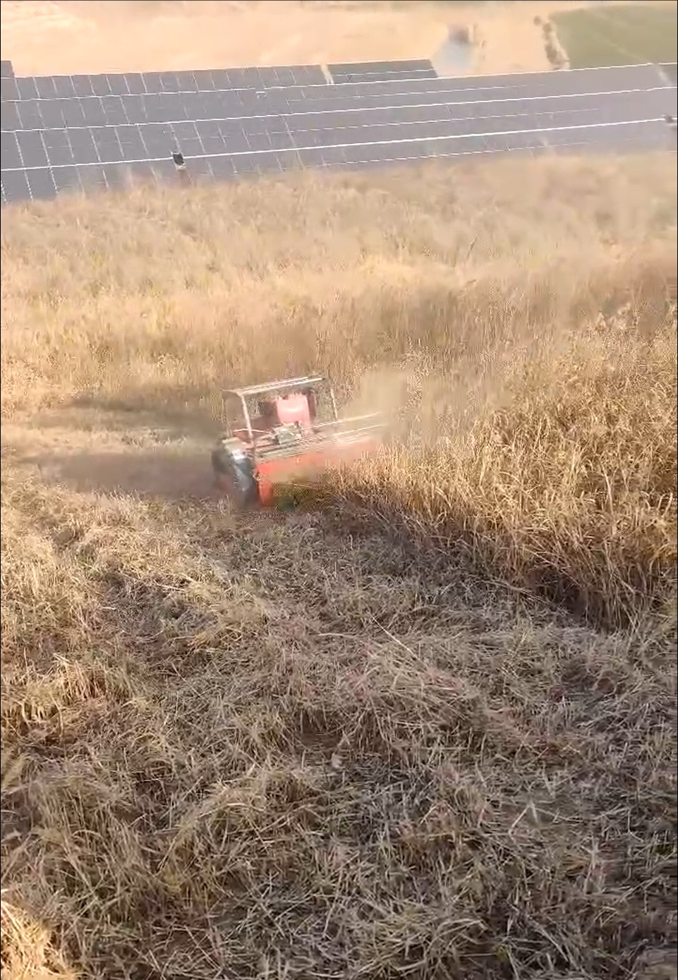 Farms and orchards 2